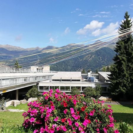 Marilleva 1400 Appartamenti Montana ภายนอก รูปภาพ